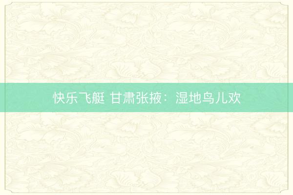 快乐飞艇 甘肃张掖：湿地鸟儿欢