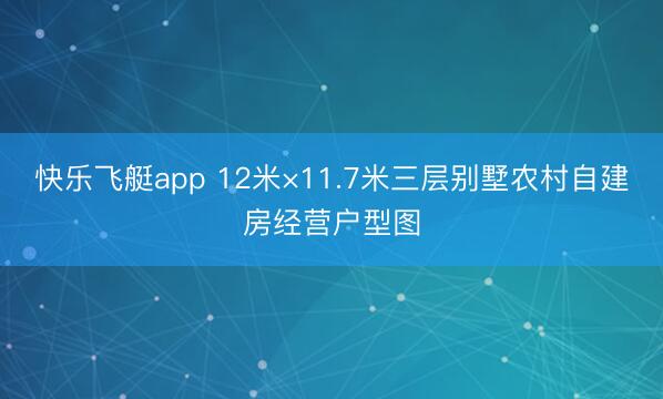 快乐飞艇app 12米×11.7米三层别墅农村自建房经营户型图